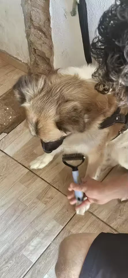 Kamil i Luna